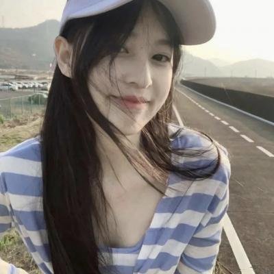 大象之梦